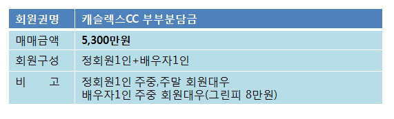 캐슬렉스매물.png