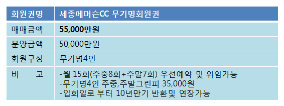 세종에머슨5억무기명.png