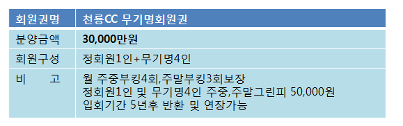 천룡무기명3억.png